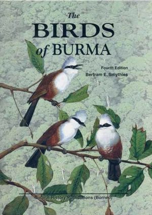 The Birds of Burma (Myanmar)