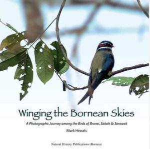 Winging the Bornean Skies
