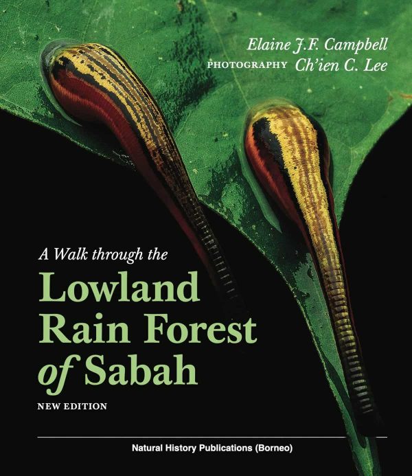 A Walk through the Lowland Rain Forest of Sabah