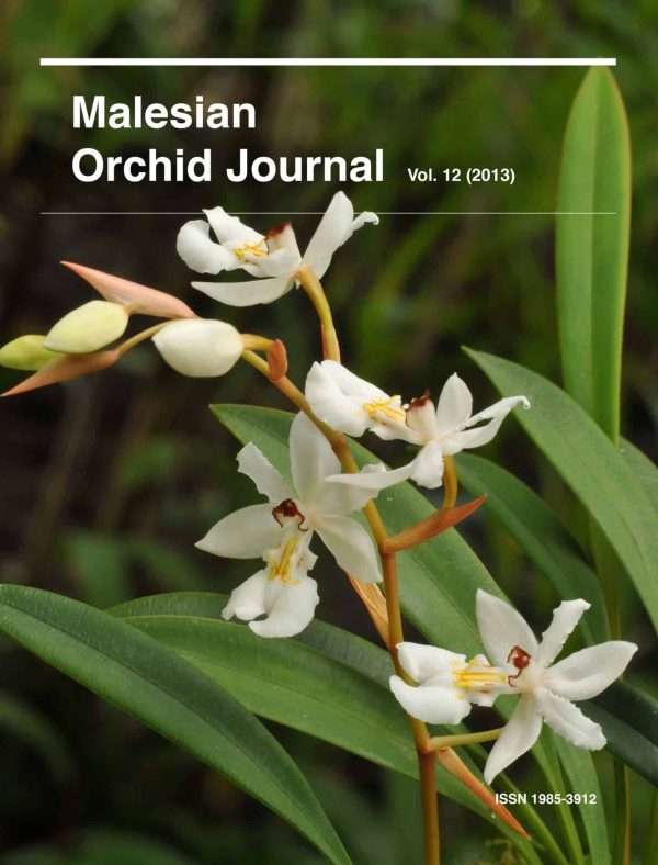 Malesian Orchid Journal Vol. 12