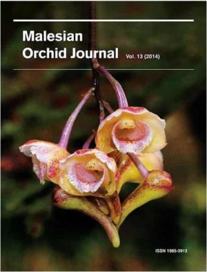 Malesian Orchid Journal Vol. 13