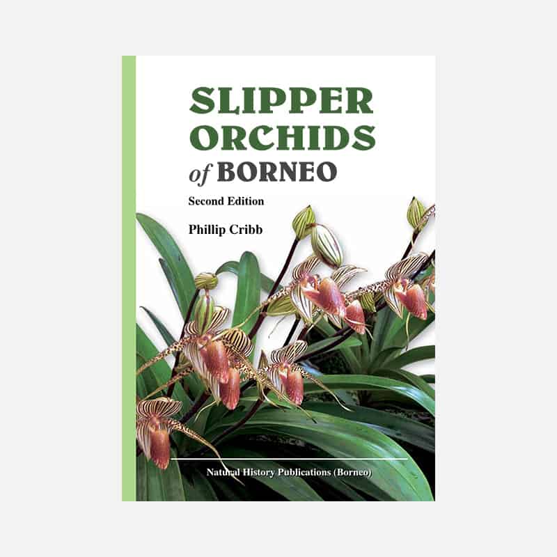 Slipper Orchids Of Borneo Second Edition Nhpborneo