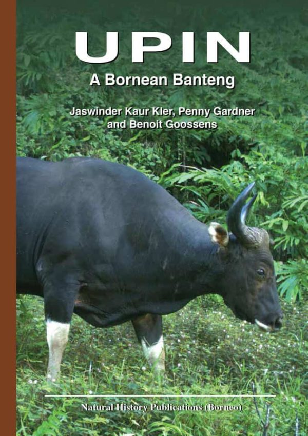 UPIN: A Bornean Banteng