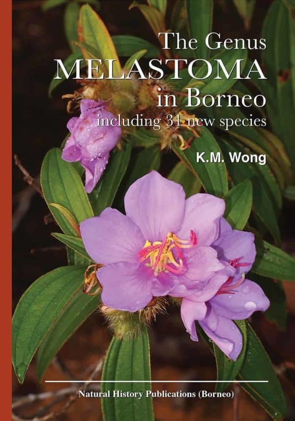 The Genus Melastoma in Borneo