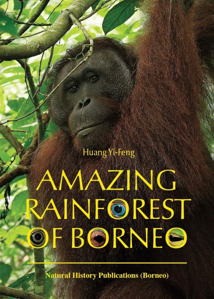 Amazing Rainforest of Borneo Natural History Publications (Borneo)