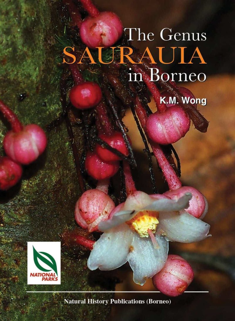 Genus Sarauria of Borneo