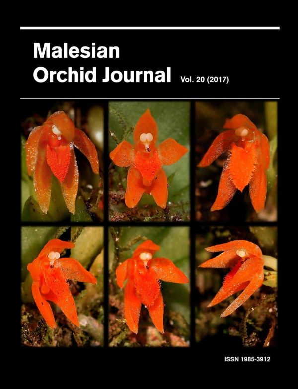 Malesian Orchid Journal Vol. 20