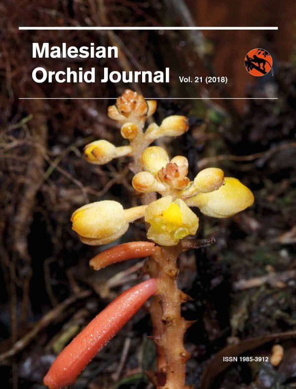 Malesian Orchid Journal Vol. 21