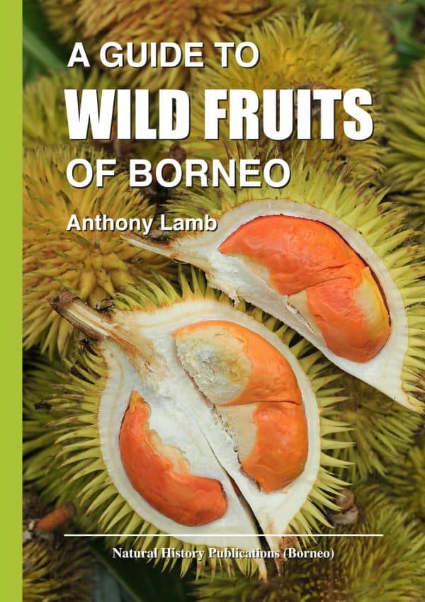 A Guide to Wild Fruits of Borneo (1st Edition)
