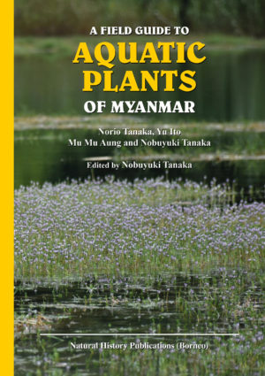 Book cover of Aquatic Plants of Myanmar