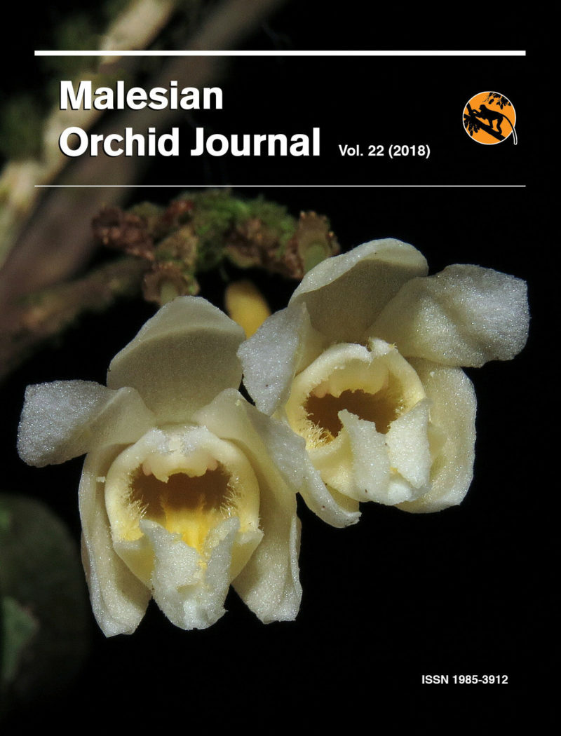 Malesian Orchid Journal Vol 22 Front Cover