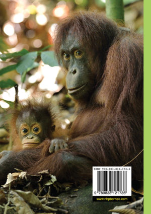 Orang Utan Book Back Cover