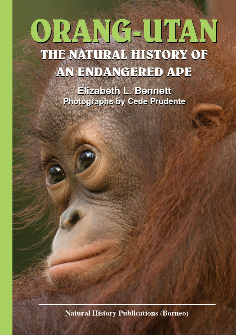 Orang Utan Book Front Cover