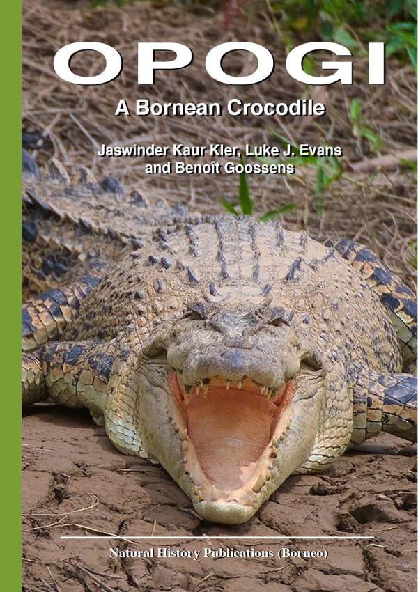 Opogi: A Bornean Crocodile