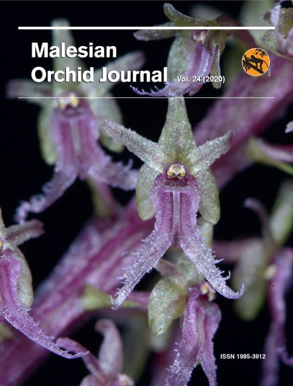 Malesian Orchid Journal Vol. 24