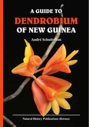 Dendrobium of New Guinea