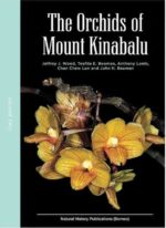 The Orchids of Mount Kinabalu Vol. 1 and 2