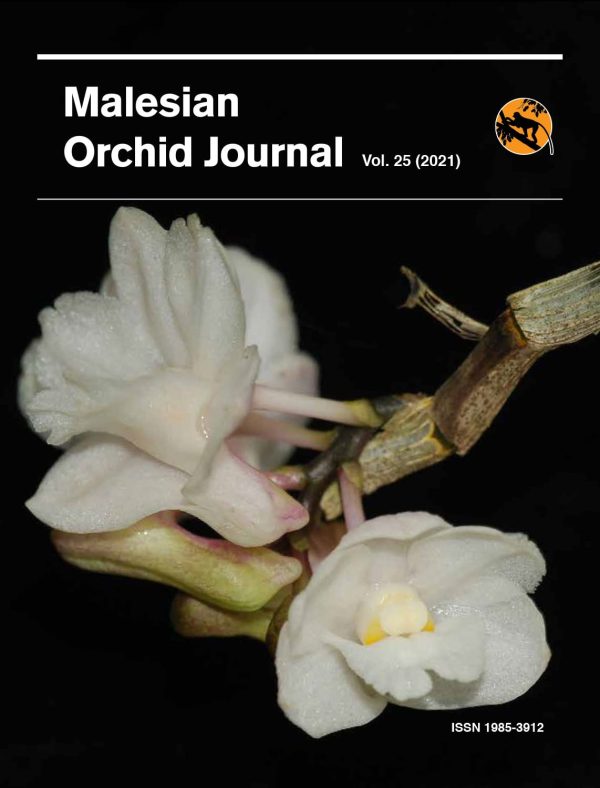 Malesian Orchid Journal Vol. 25
