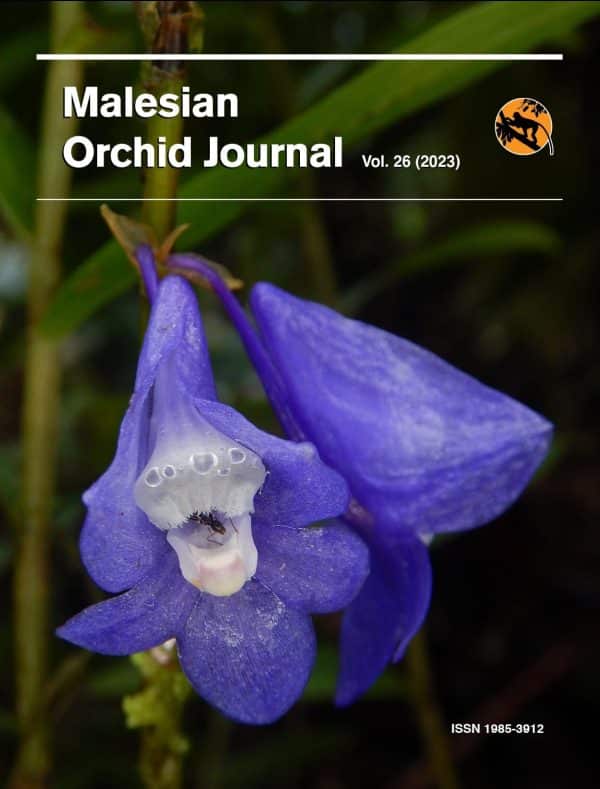 Malesian Orchid Journal Vol. 26