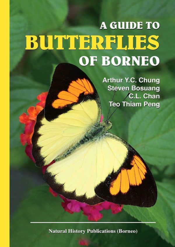 A Guide to Butterlies of Borneo