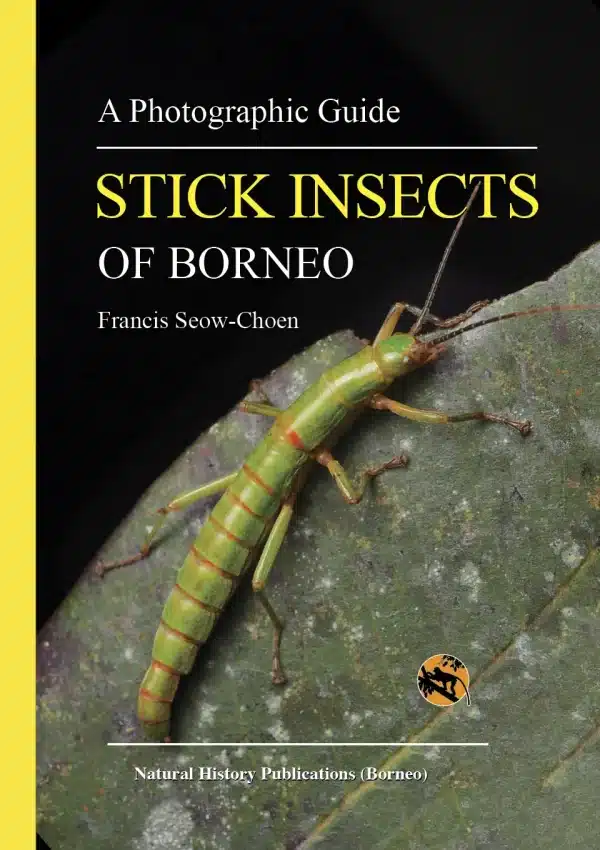 A Photographic Guide: Stick Insects of Borneo
