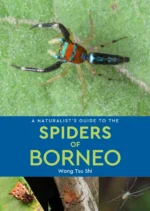 A Naturalist's Guide to the Spiders of Borneo