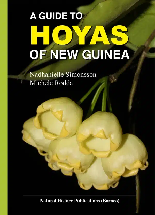 A Guide to Hoya of New Guinea
