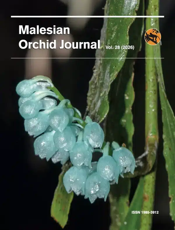 Malesian Orchid Journal Vol. 28